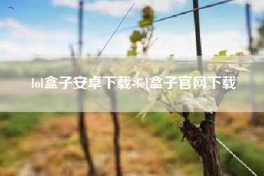 lol盒子安卓下载-lol盒子官网下载