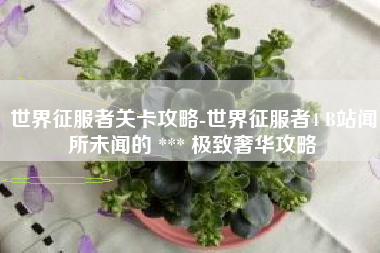 世界征服者关卡攻略-世界征服者4 B站闻所未闻的 *** 极致奢华攻略