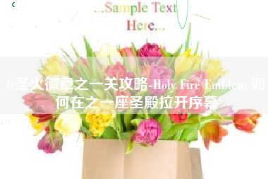 fc圣火徽章之一关攻略-Holy Fire Emblem 如何在之一座圣殿拉开序幕