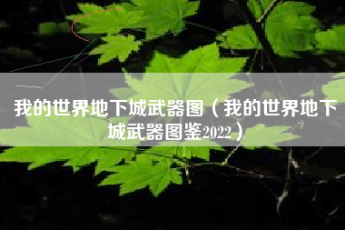 我的世界地下城武器图（我的世界地下城武器图鉴2022）