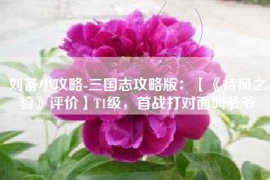 刘备小攻略-三国志攻略版：【《待风之骑》评价】T1级，首战打对面叫爷爷