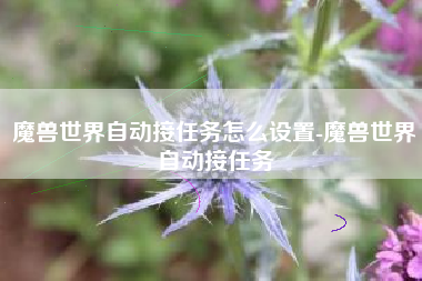 魔兽世界自动接任务怎么设置-魔兽世界自动接任务