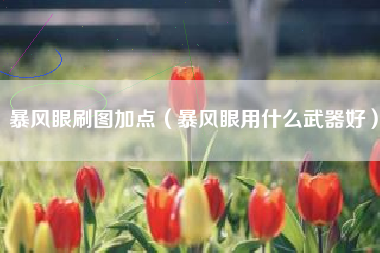 暴风眼刷图加点（暴风眼用什么武器好）