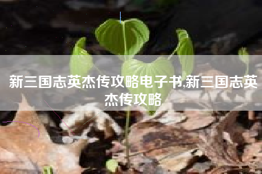 新三国志英杰传攻略电子书,新三国志英杰传攻略