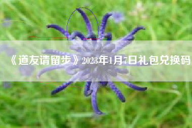 《道友请留步》2023年1月7日礼包兑换码