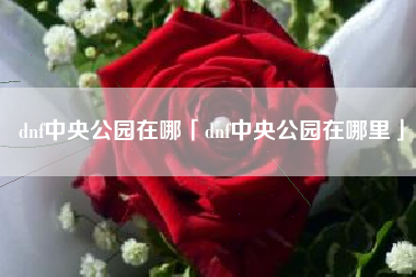 dnf中央公园在哪「dnf中央公园在哪里」