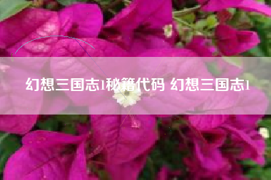 幻想三国志1秘籍代码 幻想三国志1