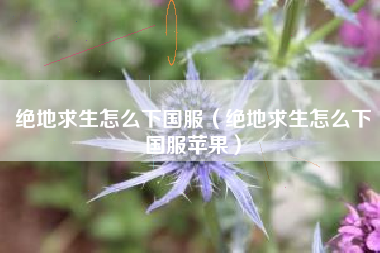 绝地求生怎么下国服（绝地求生怎么下国服苹果）