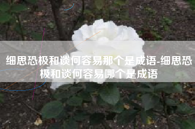 细思恐极和谈何容易那个是成语-细思恐极和谈何容易哪个是成语