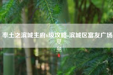 率土之滨城主府6级攻略-滨城区富友广场