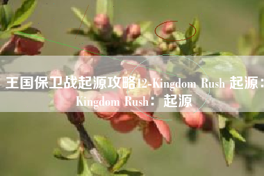 王国保卫战起源攻略12-Kingdom Rush 起源：Kingdom Rush：起源
