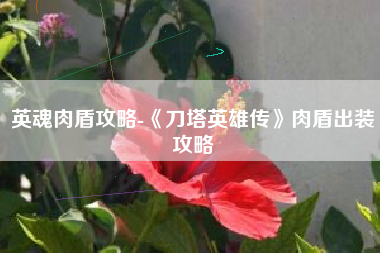 英魂肉盾攻略-《刀塔英雄传》肉盾出装攻略