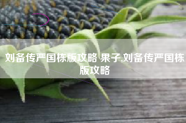 刘备传严国栋版攻略 果子,刘备传严国栋版攻略