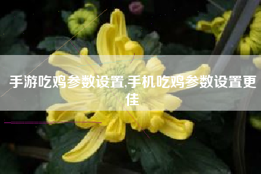 手游吃鸡参数设置,手机吃鸡参数设置更佳
