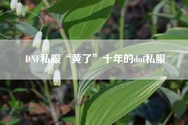 DNF私服“黄了”十年的dnf私服