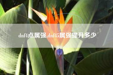 dnf4点属强,dnf45属强提升多少