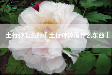 土行孙怎么打「土行孙掉落什么东西」
