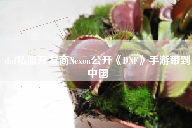 dnf私服开发商Nexon公开《DNF》手游带到中国