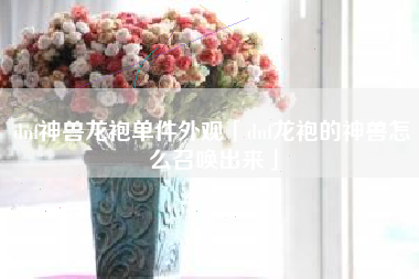 dnf神兽龙袍单件外观「dnf龙袍的神兽怎么召唤出来」