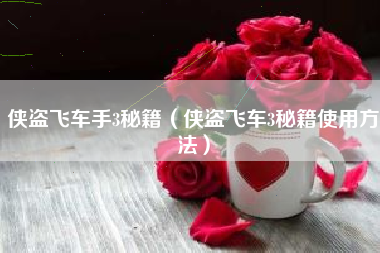 侠盗飞车手3秘籍（侠盗飞车3秘籍使用方法）