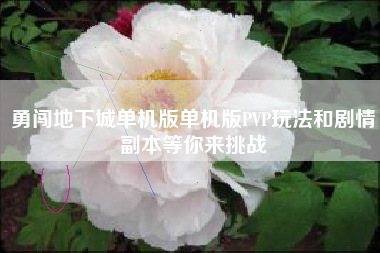 勇闯地下城单机版单机版PVP玩法和剧情副本等你来挑战