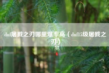 dnf屠戮之刃哪里爆率高（dnf15级屠戮之刃）