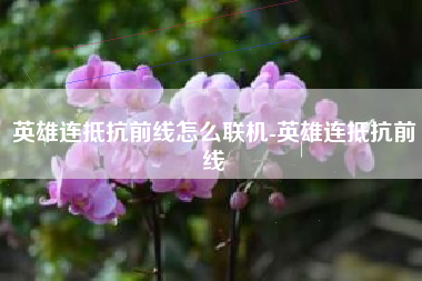 英雄连抵抗前线怎么联机-英雄连抵抗前线