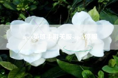 apex英雄手游关服-apex停服
