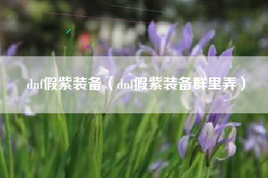 dnf假紫装备（dnf假紫装备群里弄）