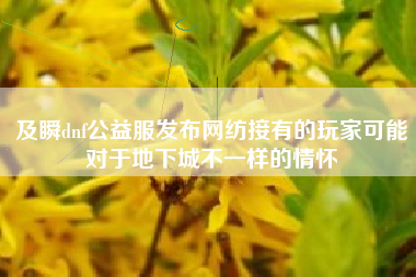 及瞬dnf公益服发布网纺接有的玩家可能对于地下城不一样的情怀