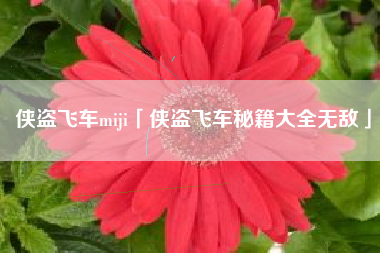侠盗飞车miji「侠盗飞车秘籍大全无敌」