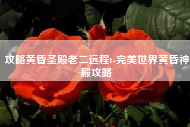 攻略黄昏圣殿老二远程t-完美世界黄昏神殿攻略