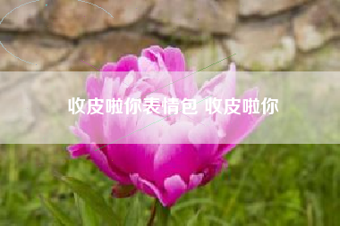 收皮啦你表情包 收皮啦你