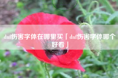 dnf伤害字体在哪里买「dnf伤害字体哪个好看」