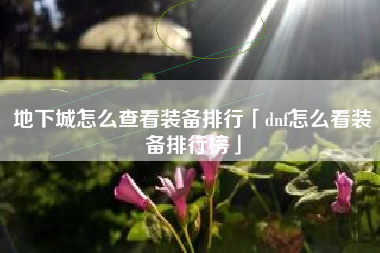 地下城怎么查看装备排行「dnf怎么看装备排行榜」