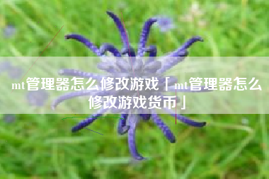 mt管理器怎么修改游戏「mt管理器怎么修改游戏货币」