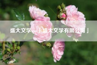 盛大文学ipo「盛大文学有限公司」