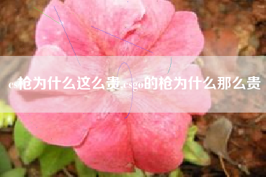 cs枪为什么这么贵,csgo的枪为什么那么贵