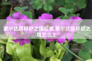 塞尔达塔邦挞之塔位置,塞尔达塔邦挞之塔怎么上