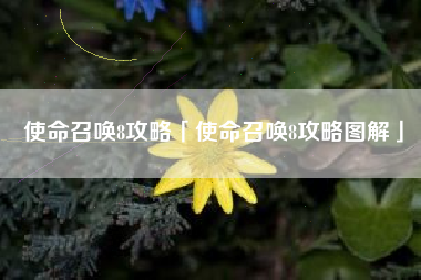 使命召唤8攻略「使命召唤8攻略图解」