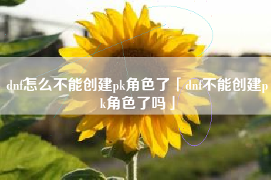 dnf怎么不能创建pk角色了「dnf不能创建pk角色了吗」