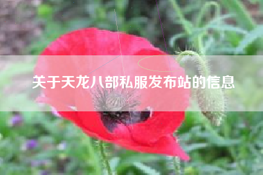 关于天龙八部私服发布站的信息