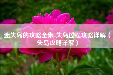迷失岛的攻略全集-失岛过程攻略详解（失岛攻略详解）