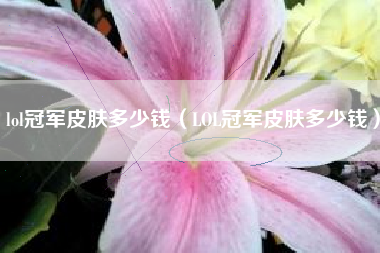 lol冠军皮肤多少钱（LOL冠军皮肤多少钱）