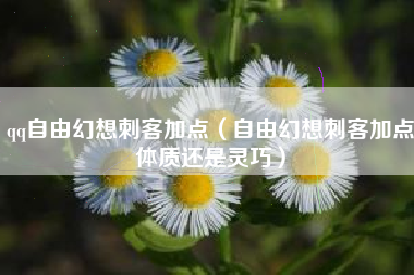 qq自由幻想刺客加点（自由幻想刺客加点体质还是灵巧）