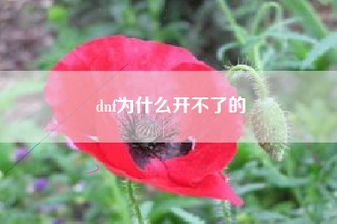dnf为什么开不了的
