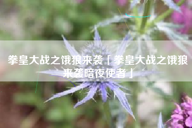 拳皇大战之饿狼来袭「拳皇大战之饿狼来袭暗夜使者」