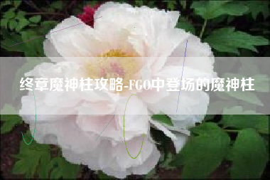 终章魔神柱攻略-FGO中登场的魔神柱