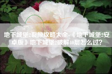 地下城堡2裂隙攻略大全-《地下城堡2安卓版》地下城堡2破解40层怎么过？