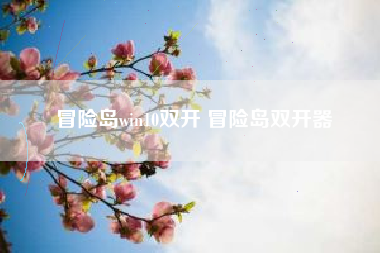 冒险岛win10双开 冒险岛双开器